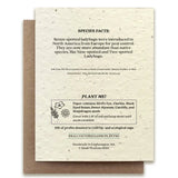Seven-Spotted Ladybug Plantable Wildflower Seed Card