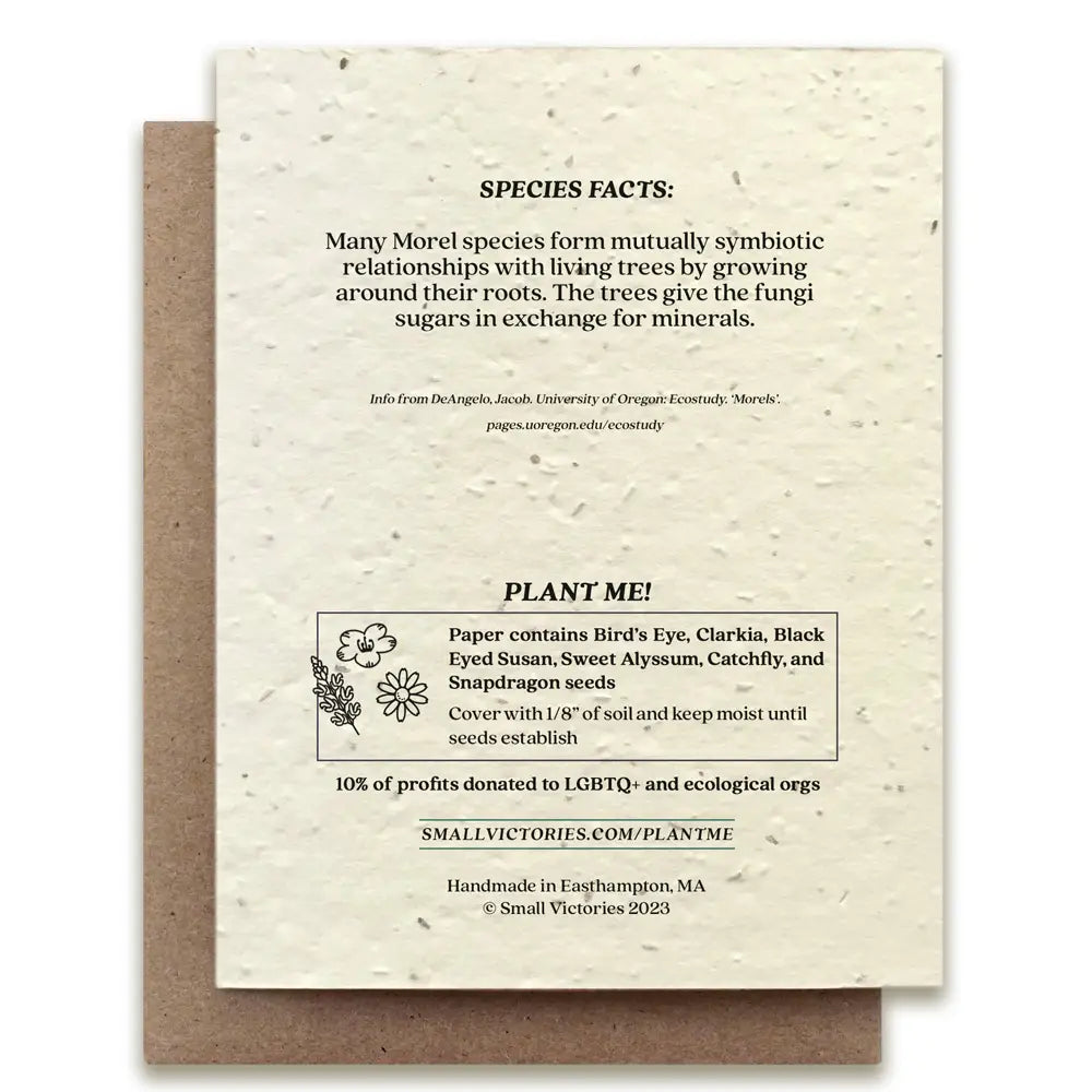 Morel Mushroom Plantable Wildflower Seed Card