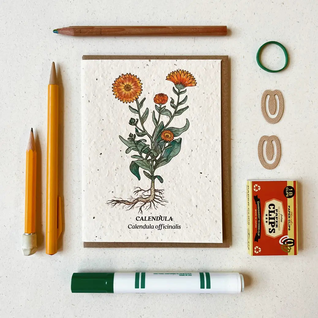 Calendula Plantable Wildflower Seed Card