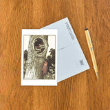 Raccoons in Tree Postcard
