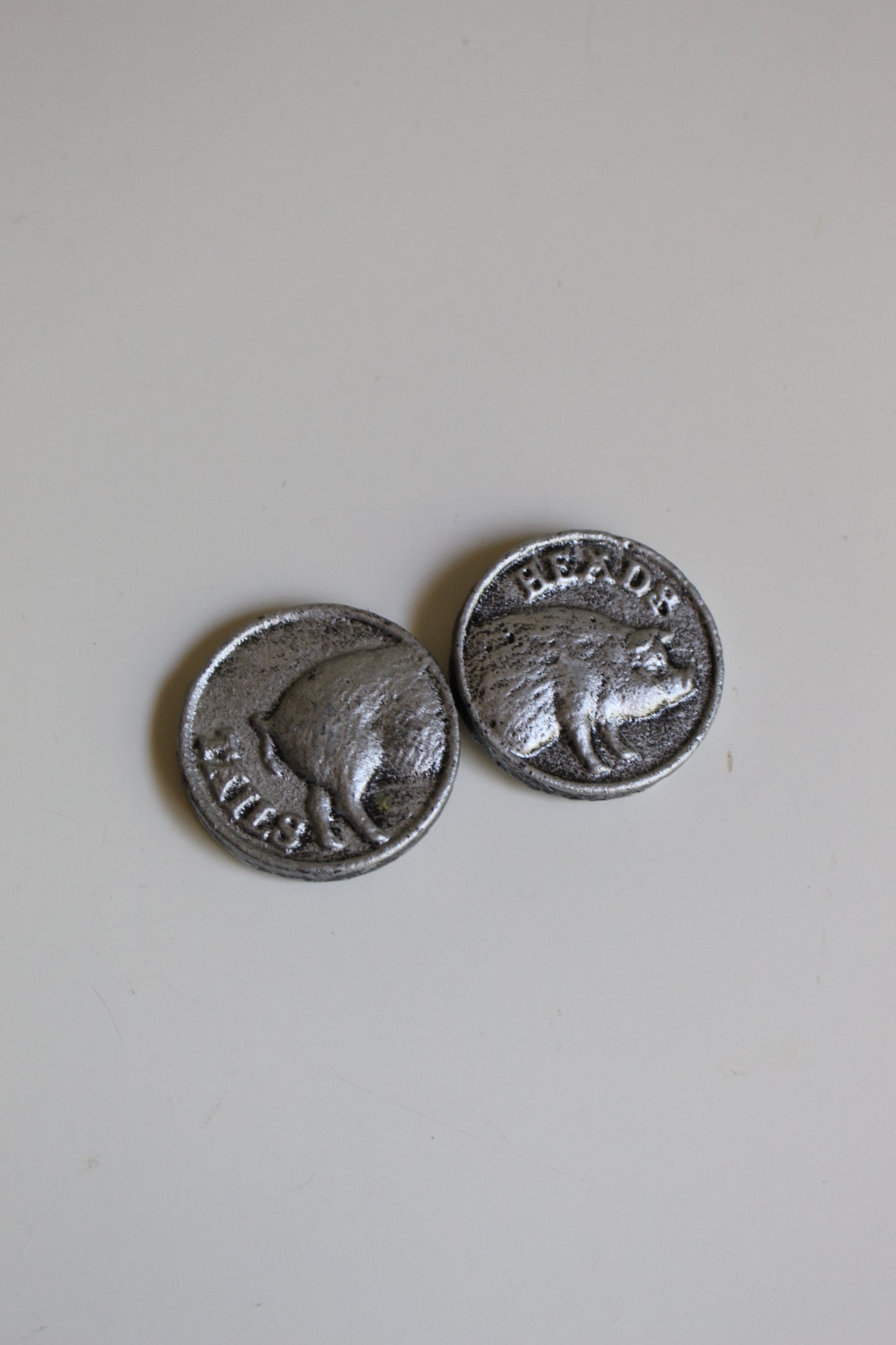 Heads or Tails Coin