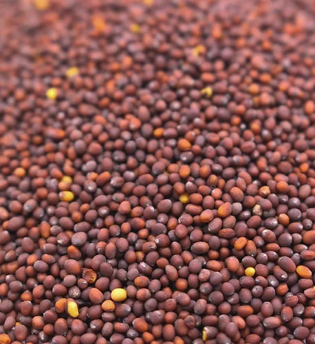 Brown Mustard Seed, Whole