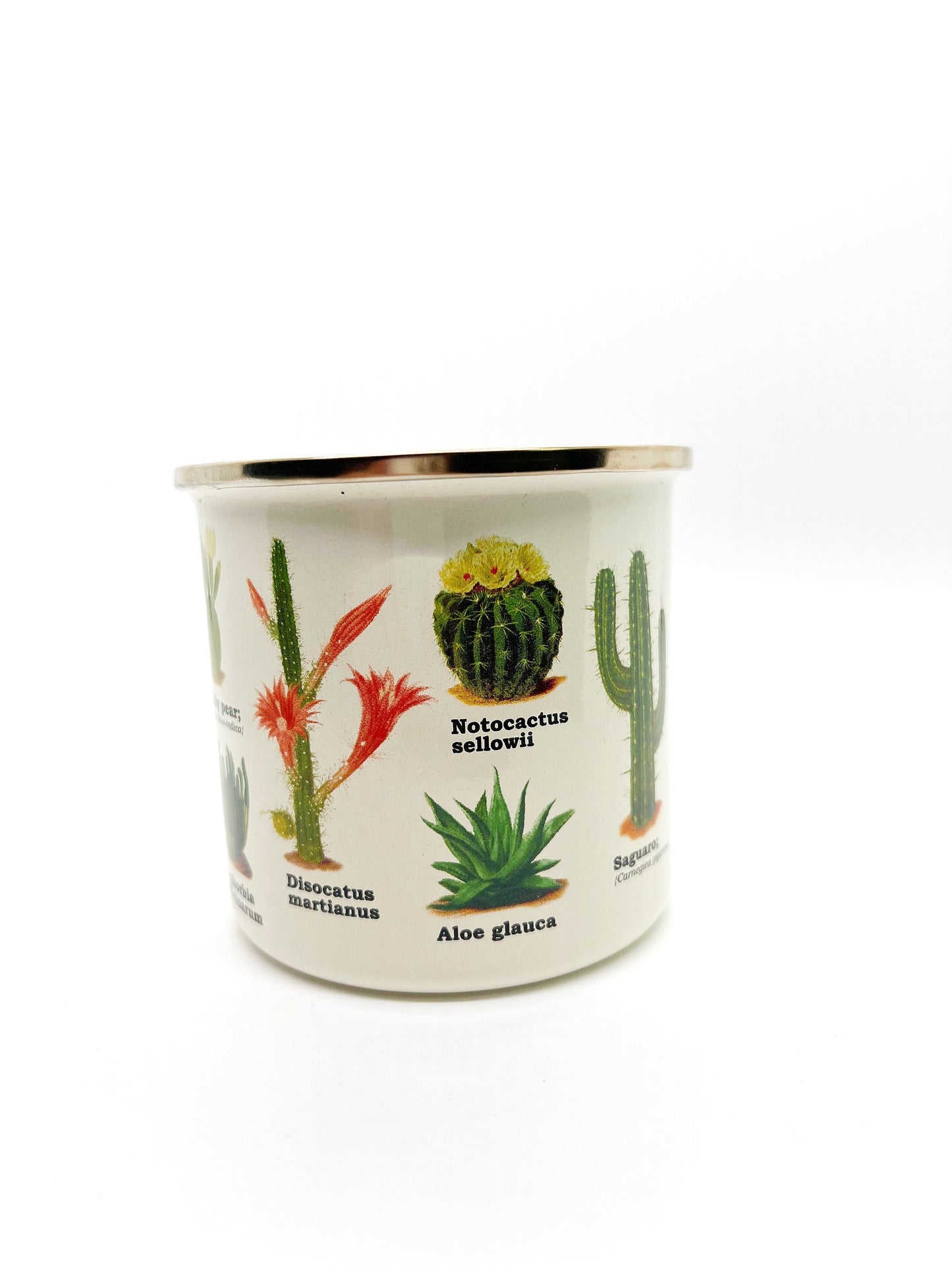 Desert Botanical Enamel Mug